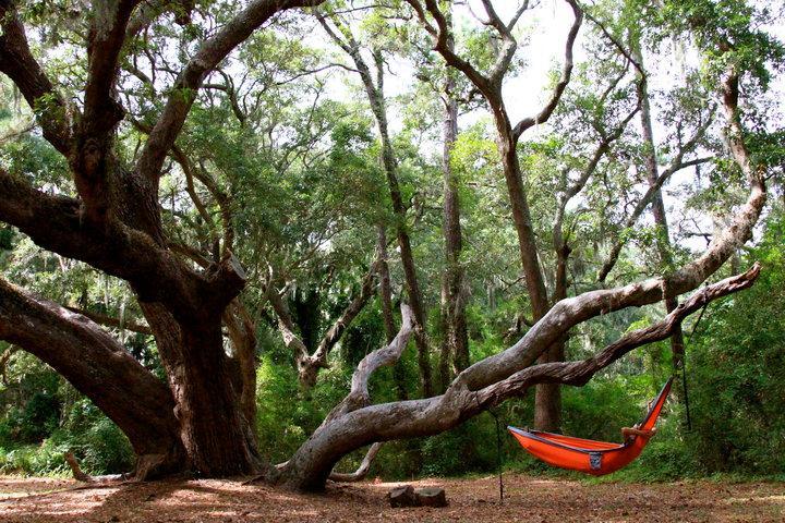 Ocean Walk Resort 1Br Mgr American Dream St. Simons Island Екстериор снимка